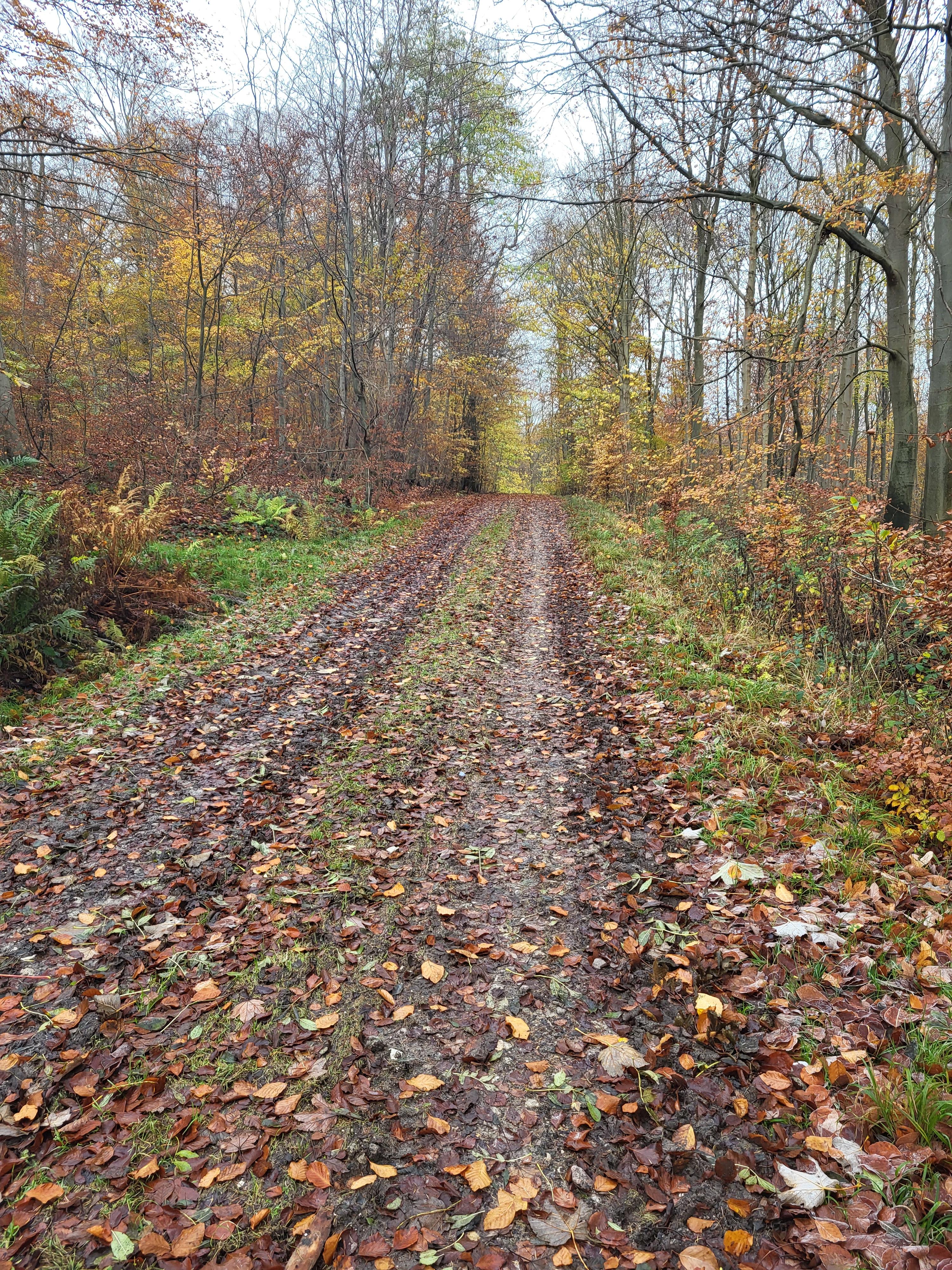 Møn Rundt