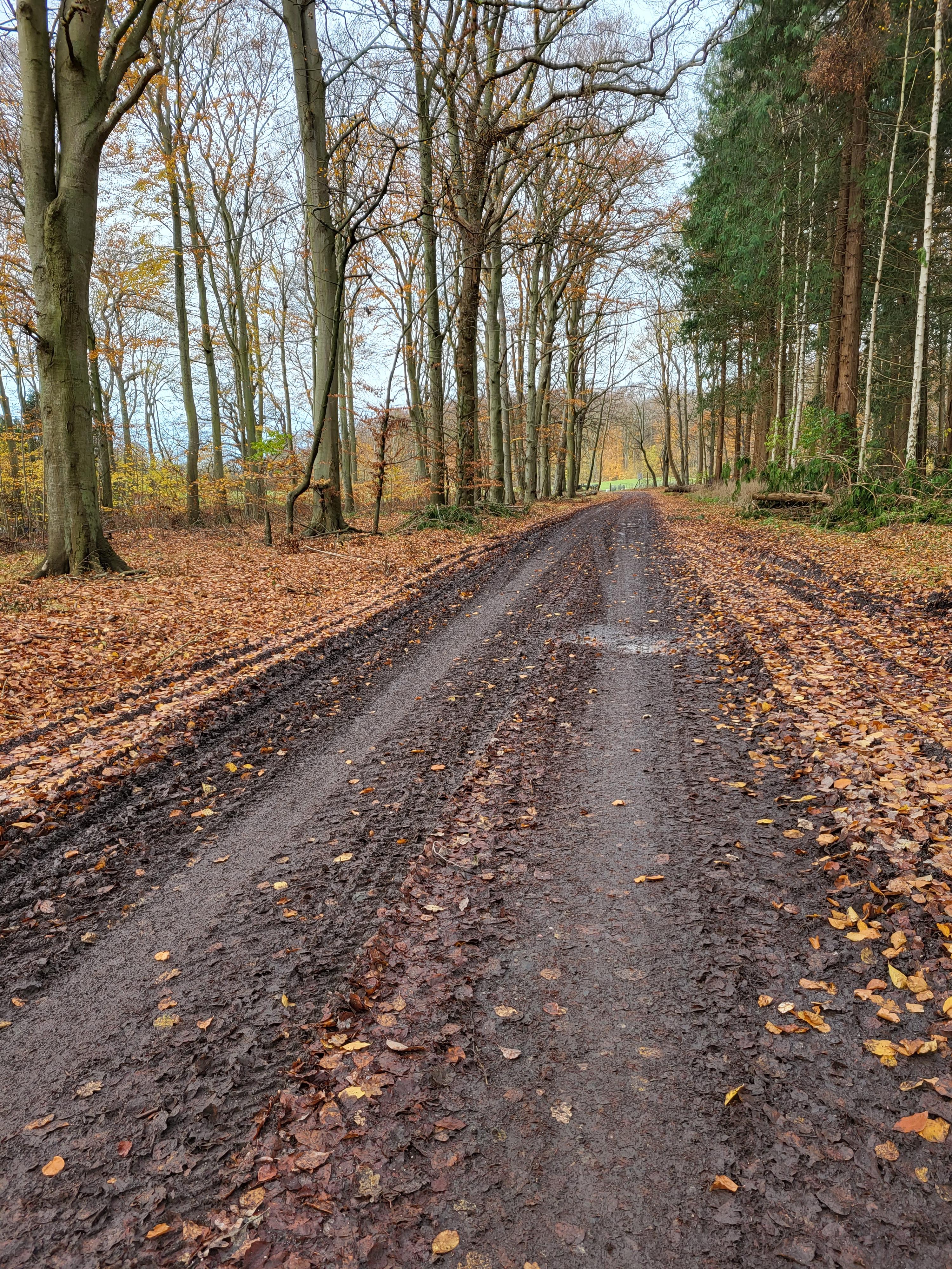 Møn Rundt